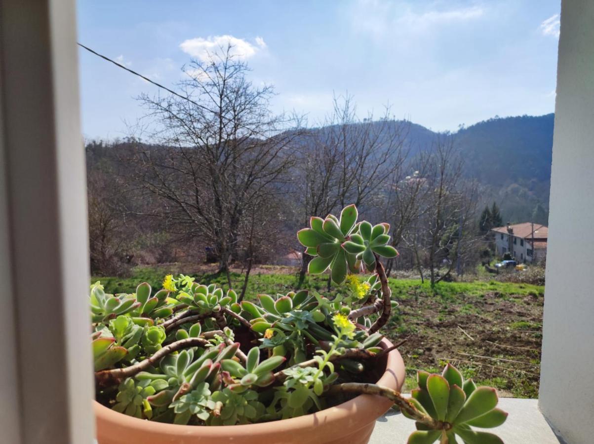 Casa Dei Giuggioli Villa Vernazza Luaran gambar
